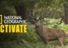 activate.natgeotv.com, Natgeotv com activate, Activate Natgeotv, Natgeotv