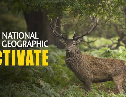 activate.natgeotv.com, Natgeotv com activate, Activate Natgeotv, Natgeotv