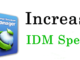 IDM optimizer