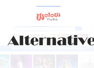Wolowtube