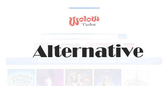 Wolowtube