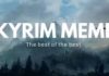 skyrim memes, skyrim