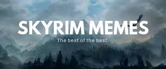skyrim memes, skyrim