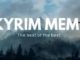 skyrim memes, skyrim