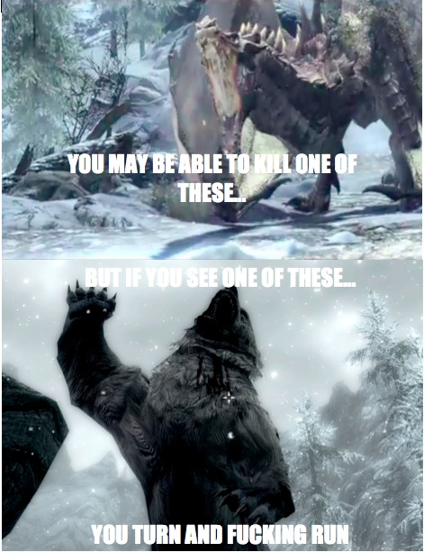 skyrim memes, skyrim