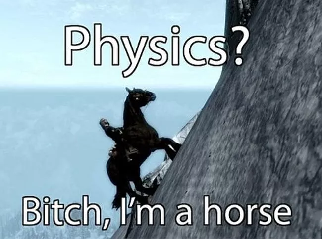 skyrim memes, skyrim