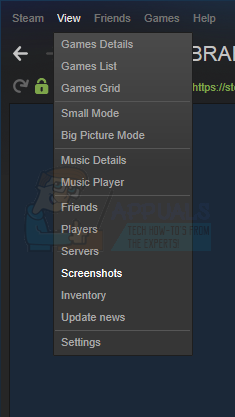 steam screenshot folder, steam game