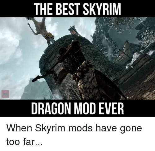 skyrim memes, skyrim