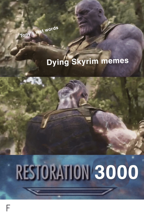 skyrim memes, skyrim