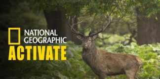 activate.natgeotv.com, Natgeotv com activate, Activate Natgeotv, Natgeotv