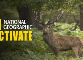 activate.natgeotv.com, Natgeotv com activate, Activate Natgeotv, Natgeotv