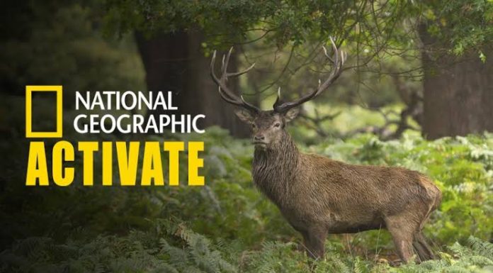 activate.natgeotv.com, Natgeotv com activate, Activate Natgeotv, Natgeotv