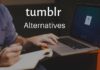 Tumblr, Tumblr alternatives