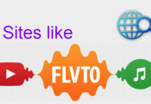 flvto