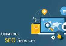 Ecommerce SEO Services